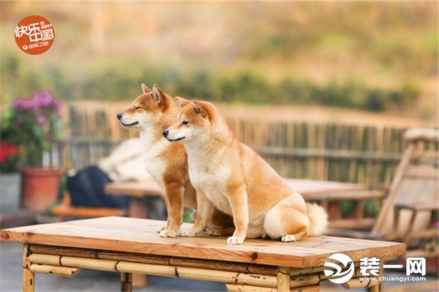 蘑菇屋第一季在哪里拍摄的 20180508115620_0856.jpg