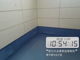 中建光谷之星