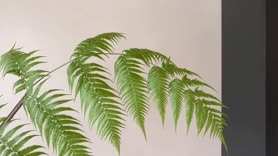现代风格装修完工视频