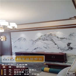 【拜斯达装饰】双湖林语竣工验收