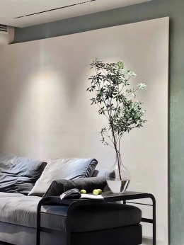 【六西格玛装饰】当代云谷