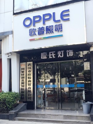 公司介绍