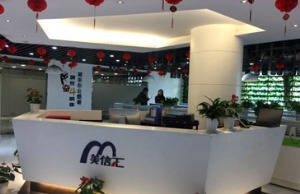 公司介绍