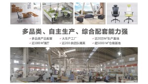 公司介绍